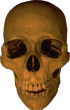 face.jpg